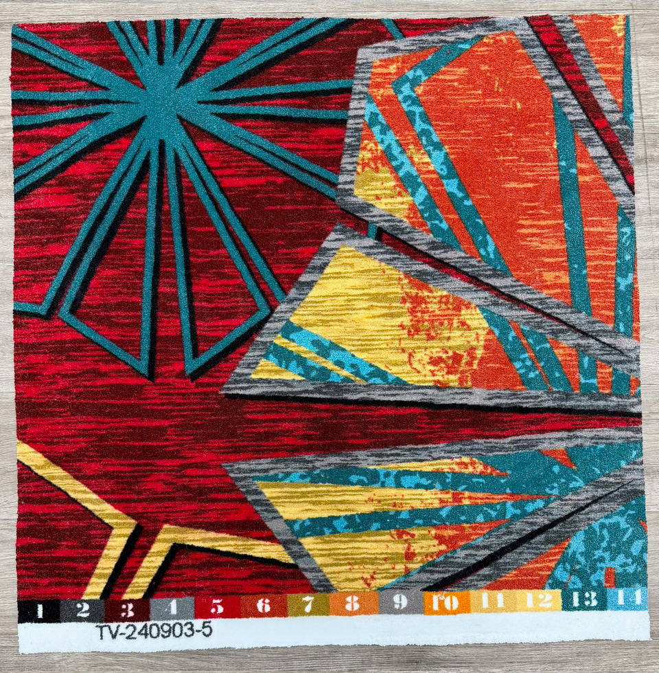 TV-240903-5_sample-photo